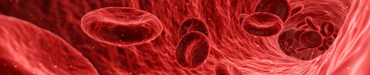 malattie cardiovascolari