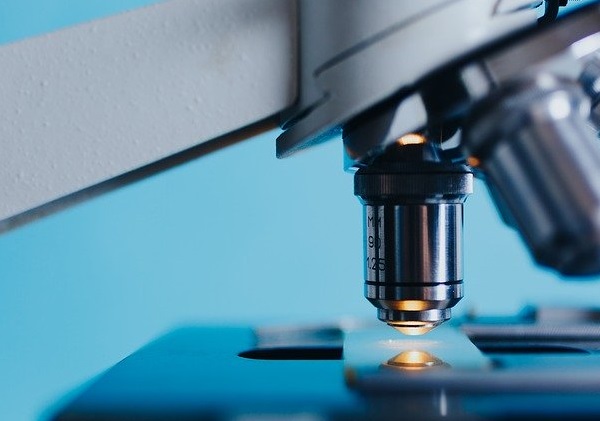 Dermatopatologia