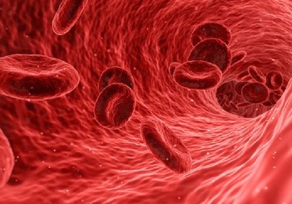 visita ematologica