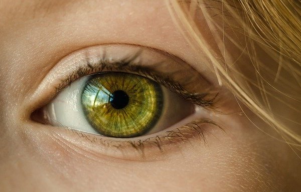 OCULISTA OFTAMOLOGIA