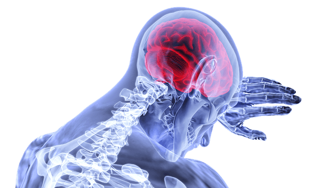 neurologia