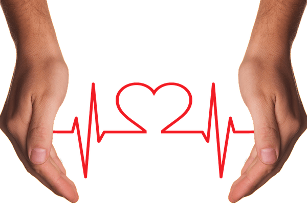 frequenza cardiaca