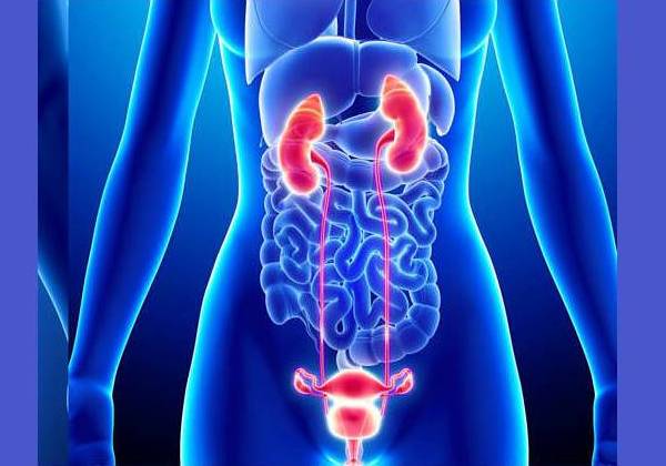 uroginecologia